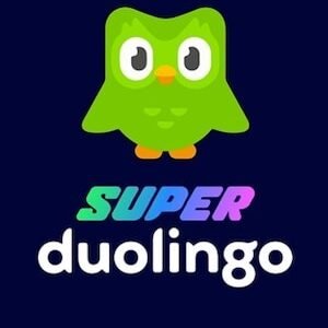 Duolingo Personal Subscription 12 Months Account (Global)